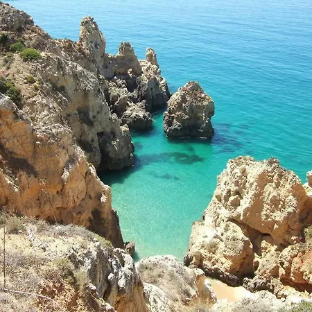 Vogue By Indigo * Estômbar